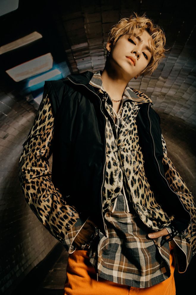 胜负之间：雄鹿和猛虎之间的角逐引人期待的简单介绍